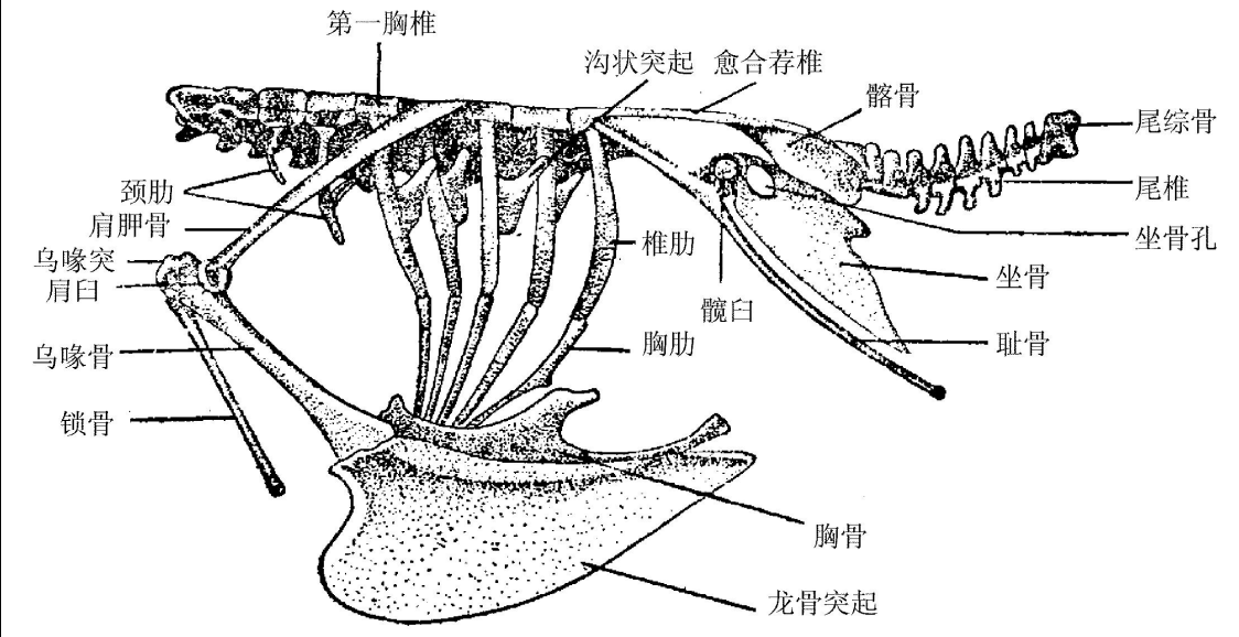 image-20250619193746818